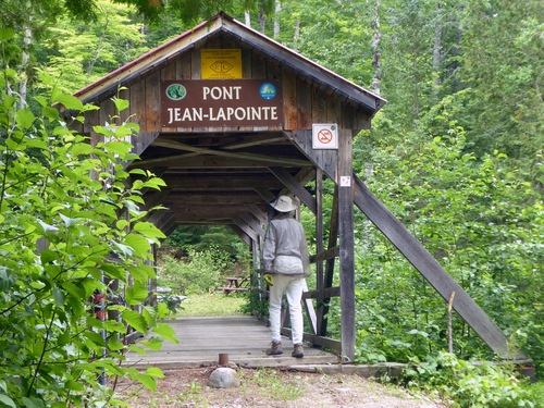 Pont en été petite