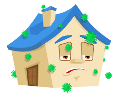 salubrite habitation